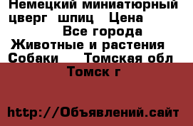 Немецкий миниатюрный(цверг) шпиц › Цена ­ 50 000 - Все города Животные и растения » Собаки   . Томская обл.,Томск г.